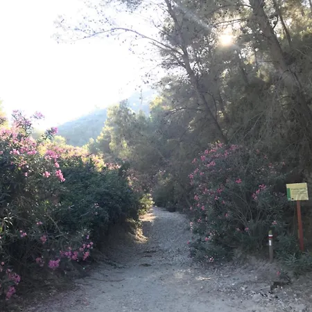 Bed & Breakfast The Lost Village El Acebuchal
