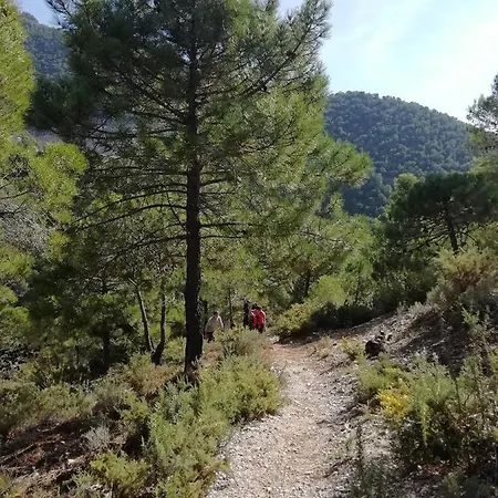 The Lost Village El Acebuchal Frigiliana